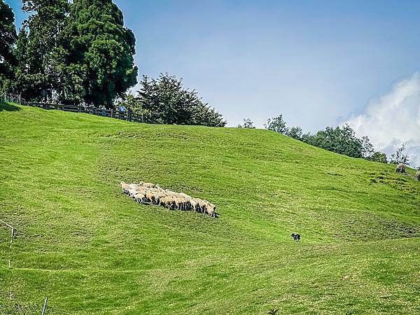 IMG_6780.JPG IMG_6780.JPG