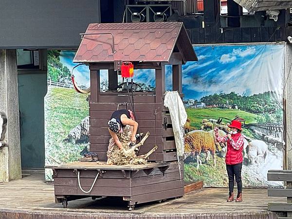 IMG_6811.JPG IMG_6811.JPG