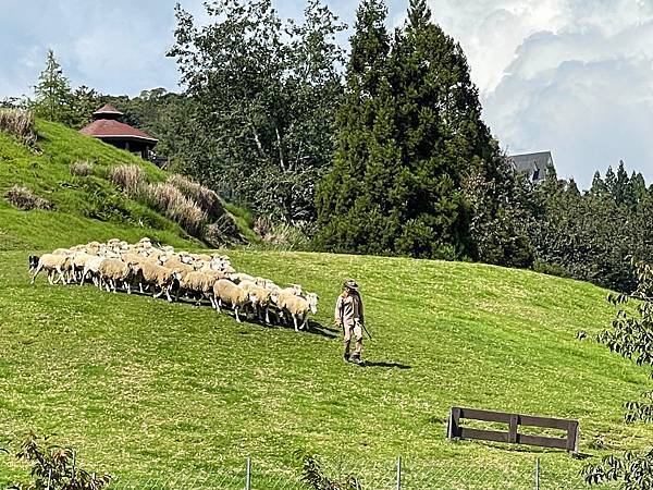 IMG_6795.jpg IMG_6795.jpg