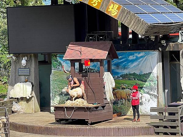 IMG_6819.JPG IMG_6819.JPG