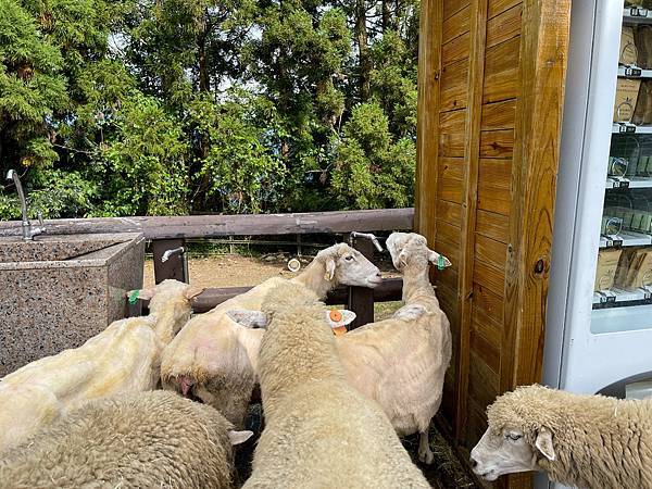 IMG_6901.JPG IMG_6901.JPG