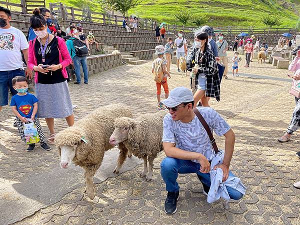 IMG_6898.JPG IMG_6898.JPG