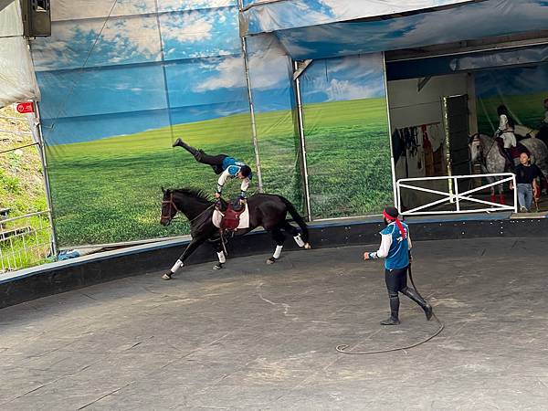 IMG_6988.JPG IMG_6988.JPG