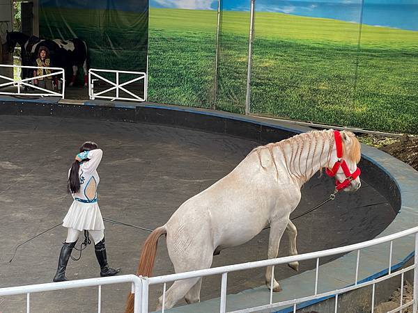 IMG_7011.JPG IMG_7011.JPG