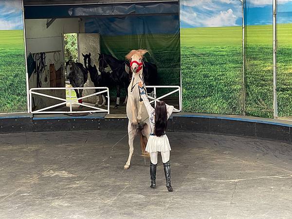 IMG_7017.JPG IMG_7017.JPG