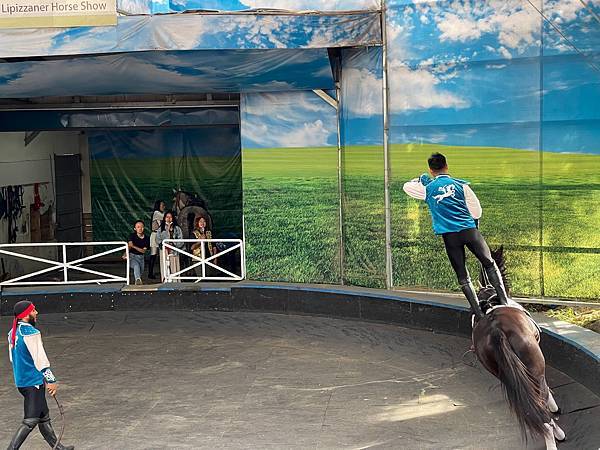 IMG_7025.JPG IMG_7025.JPG