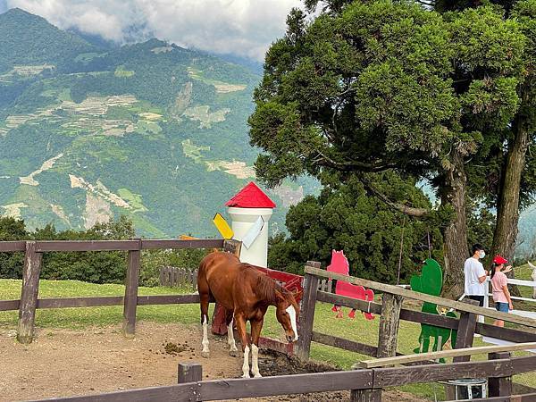 IMG_7040.JPG IMG_7040.JPG