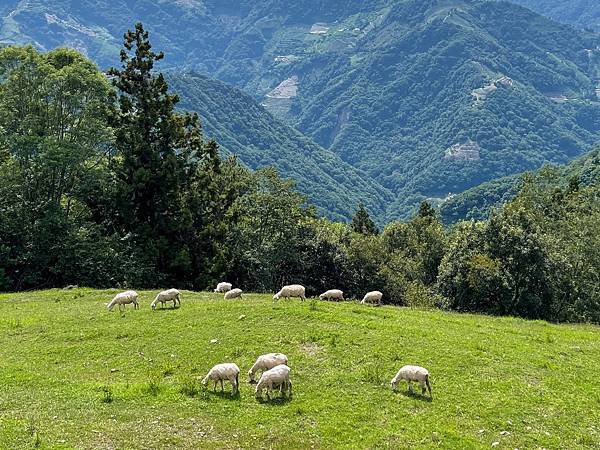 IMG_7452.JPG IMG_7452.JPG