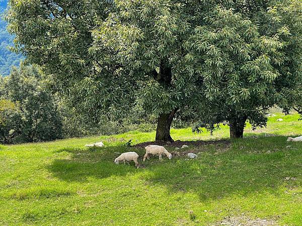 IMG_7450.JPG IMG_7450.JPG