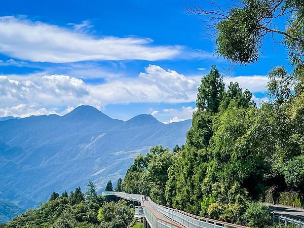 IMG_7474.jpg IMG_7474.jpg