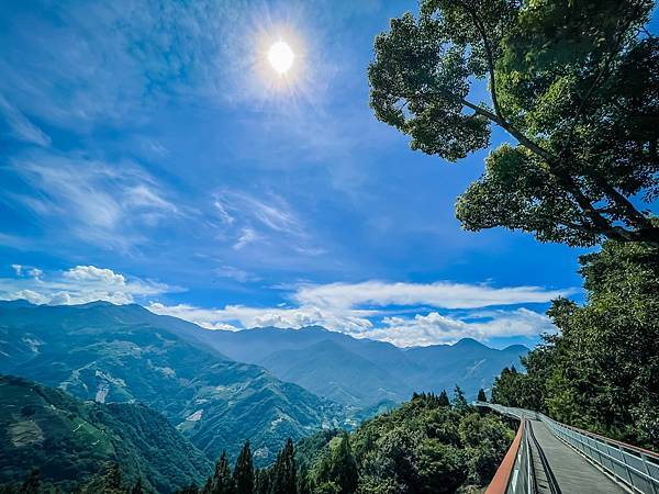 IMG_7480.JPG IMG_7480.JPG