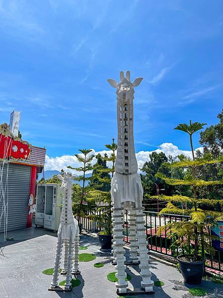 IMG_7549.JPG IMG_7549.JPG