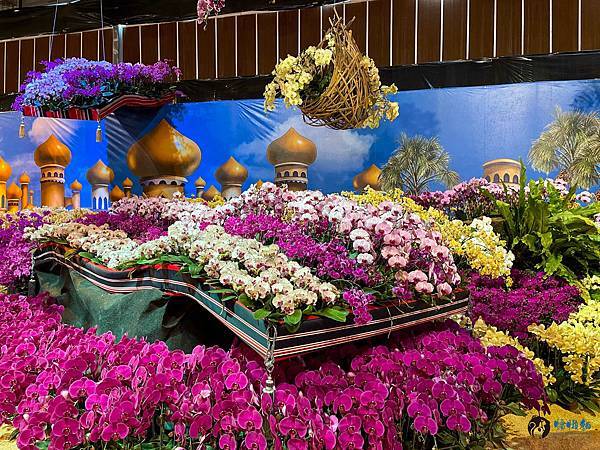 IMG_3211.jpg IMG_3211.jpg