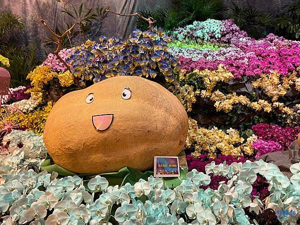 IMG_3223.jpg IMG_3223.jpg