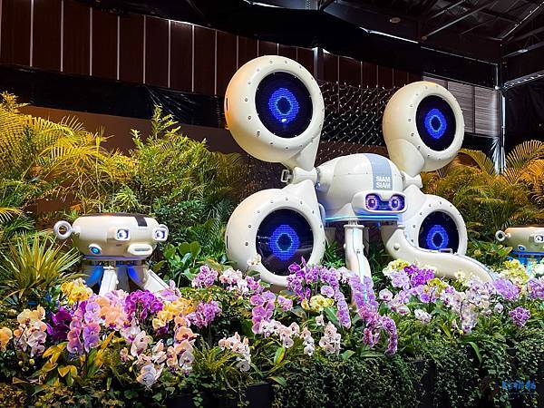 IMG_3225.jpg IMG_3225.jpg