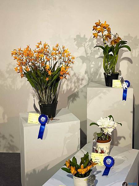 IMG_3263.jpg IMG_3263.jpg