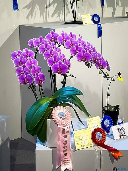 IMG_3268.jpg IMG_3268.jpg