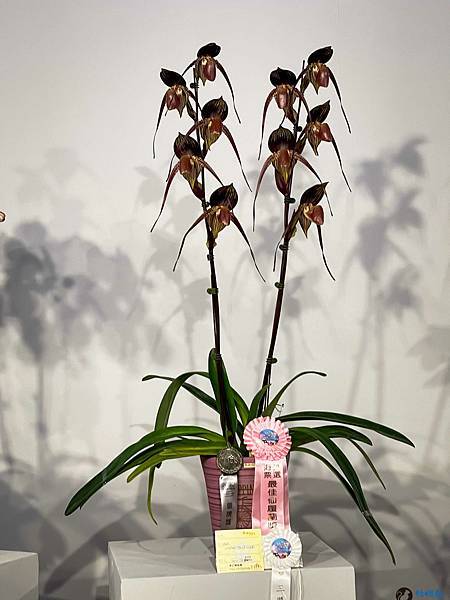 IMG_3272.jpg IMG_3272.jpg