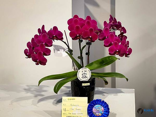 IMG_3276.jpg IMG_3276.jpg