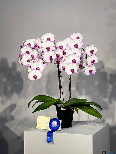 IMG_3275.jpg IMG_3275.jpg