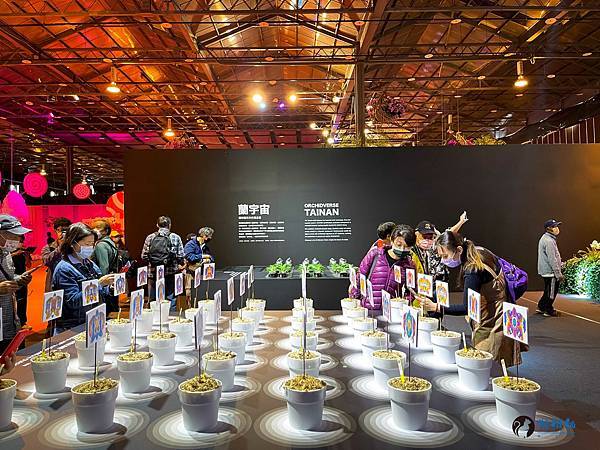 IMG_3323.jpg IMG_3323.jpg