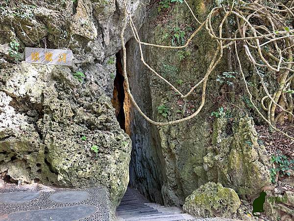 IMG_2948.jpg IMG_2948.jpg