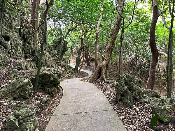 IMG_2960.jpg IMG_2960.jpg