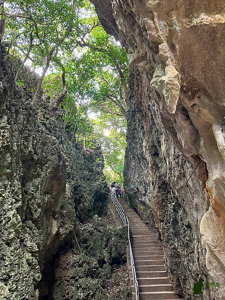 IMG_2966.jpg IMG_2966.jpg