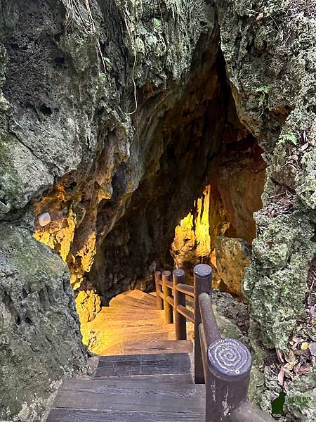 IMG_2992.jpg IMG_2992.jpg