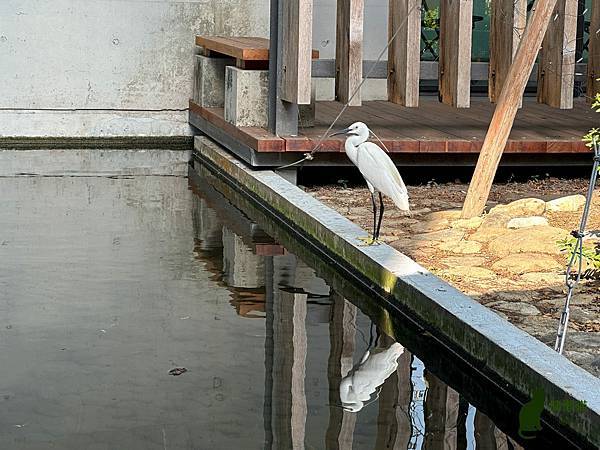 IMG_8711.jpg IMG_8711.jpg