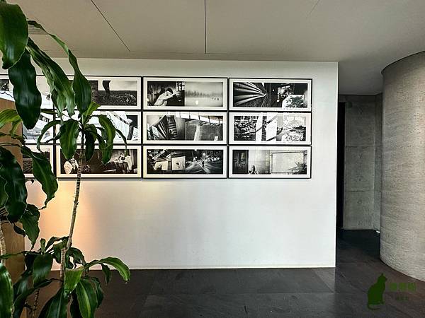 IMG_8723.jpg IMG_8723.jpg