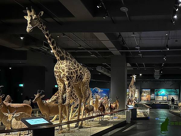 IMG_2259.jpg IMG_2259.jpg