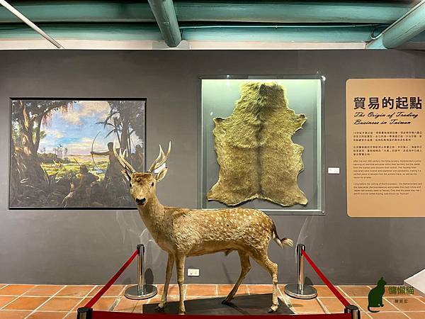 IMG_5714.jpg IMG_5714.jpg