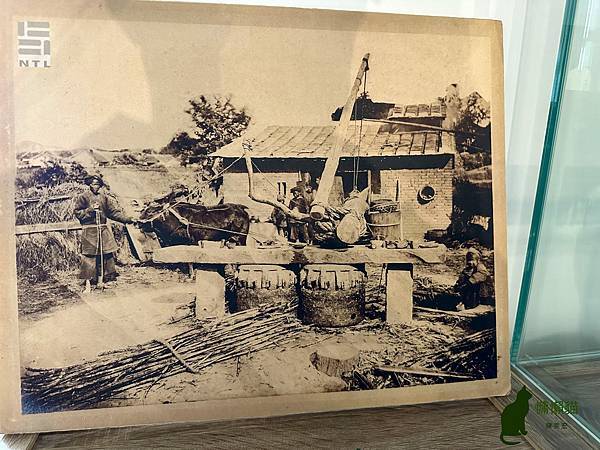 IMG_8849.jpg IMG_8849.jpg