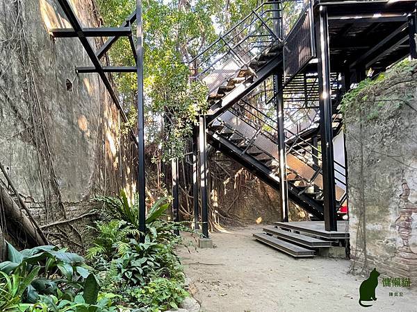 屋樹共生的奇景風貌，猶如穿梭在古城中冒險，當陽光透過樹梢灑落