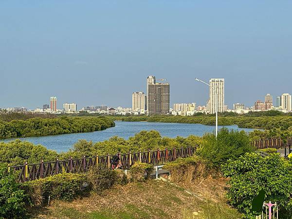屋樹共生的奇景風貌，猶如穿梭在古城中冒險，當陽光透過樹梢灑落