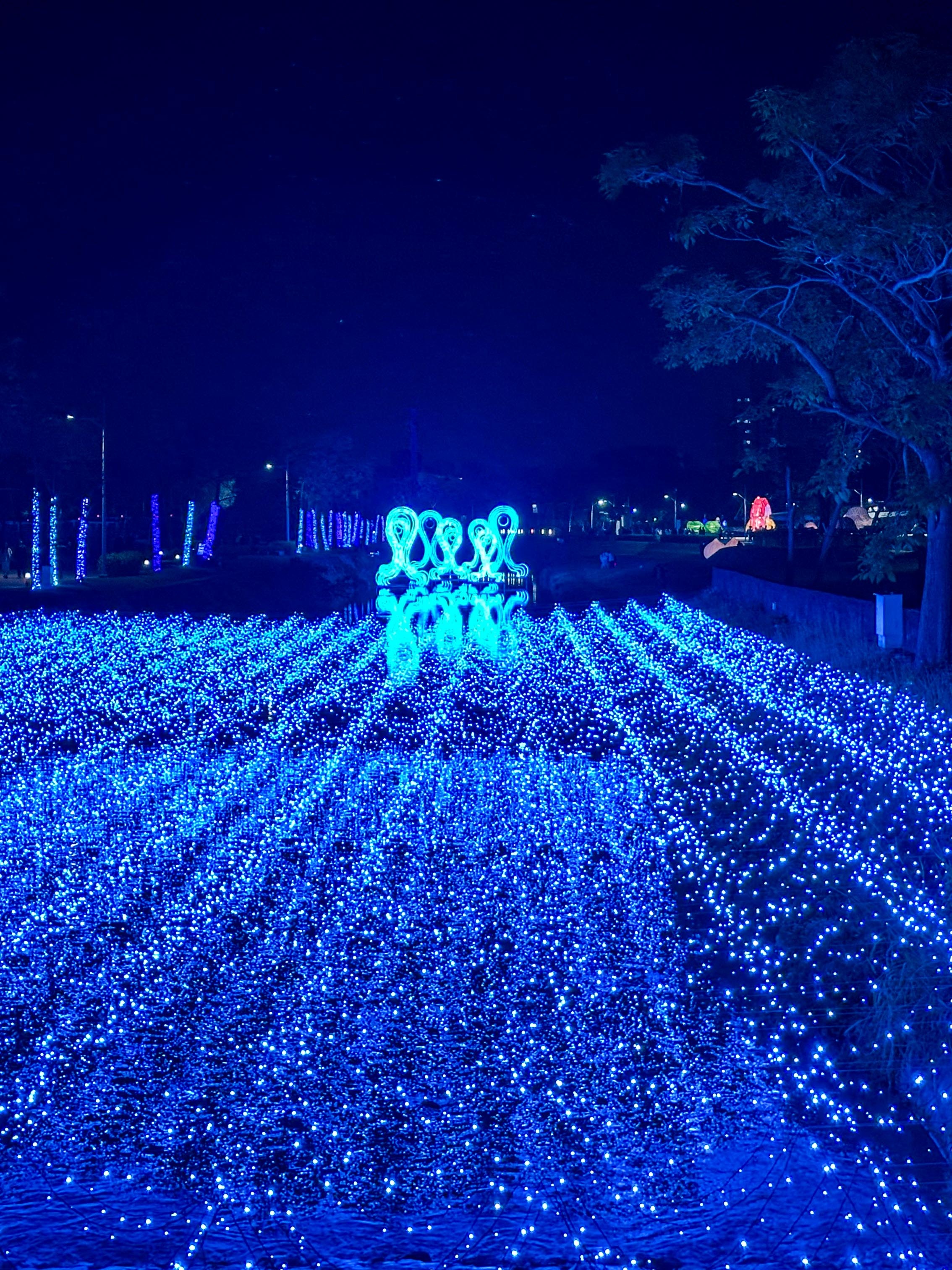 在舞鈴劇團魔法藍貓的引領下，一起穿梭在魔幻唯美的梅杜莎奇幻國