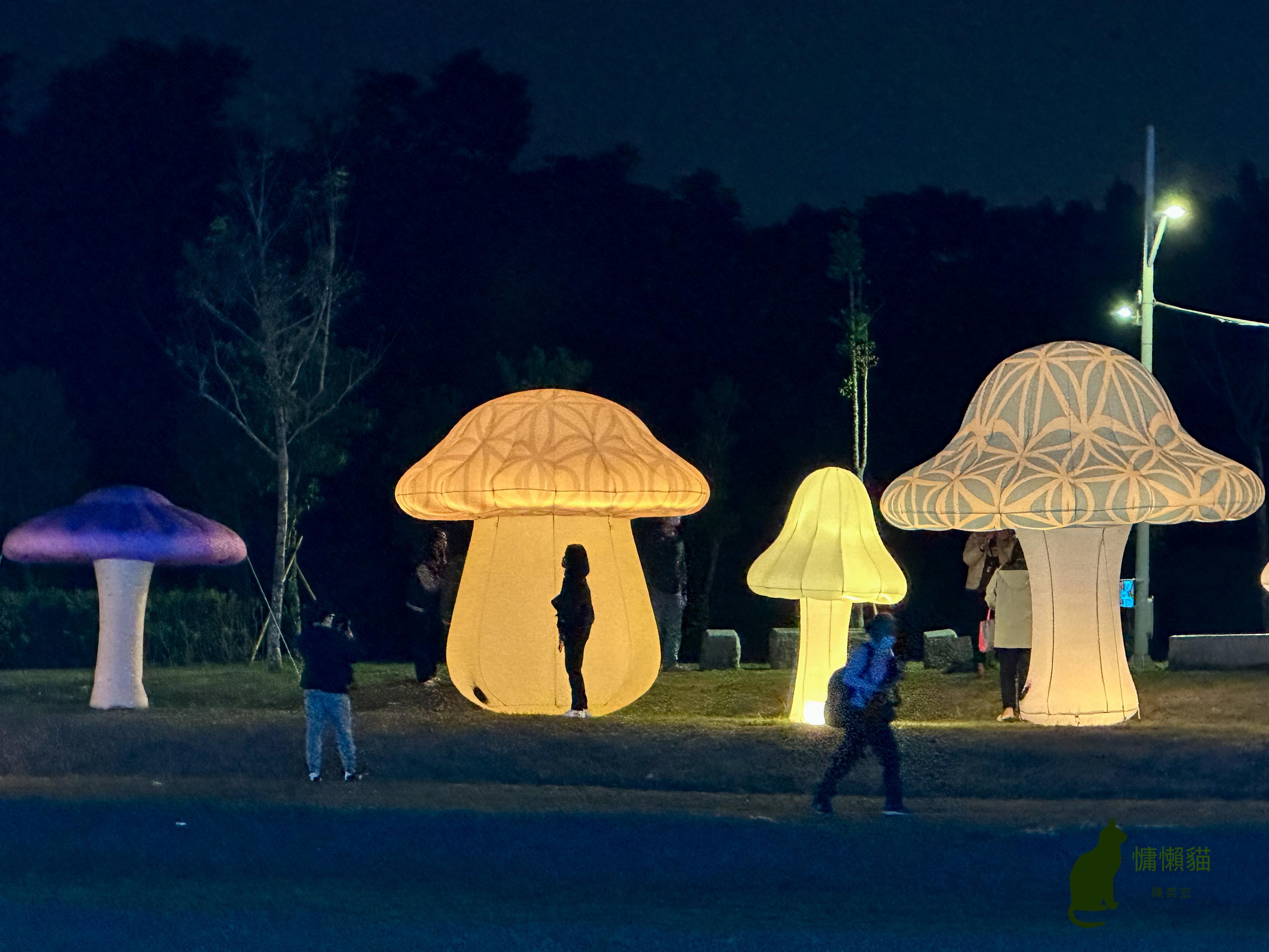 在舞鈴劇團魔法藍貓的引領下，一起穿梭在魔幻唯美的梅杜莎奇幻國