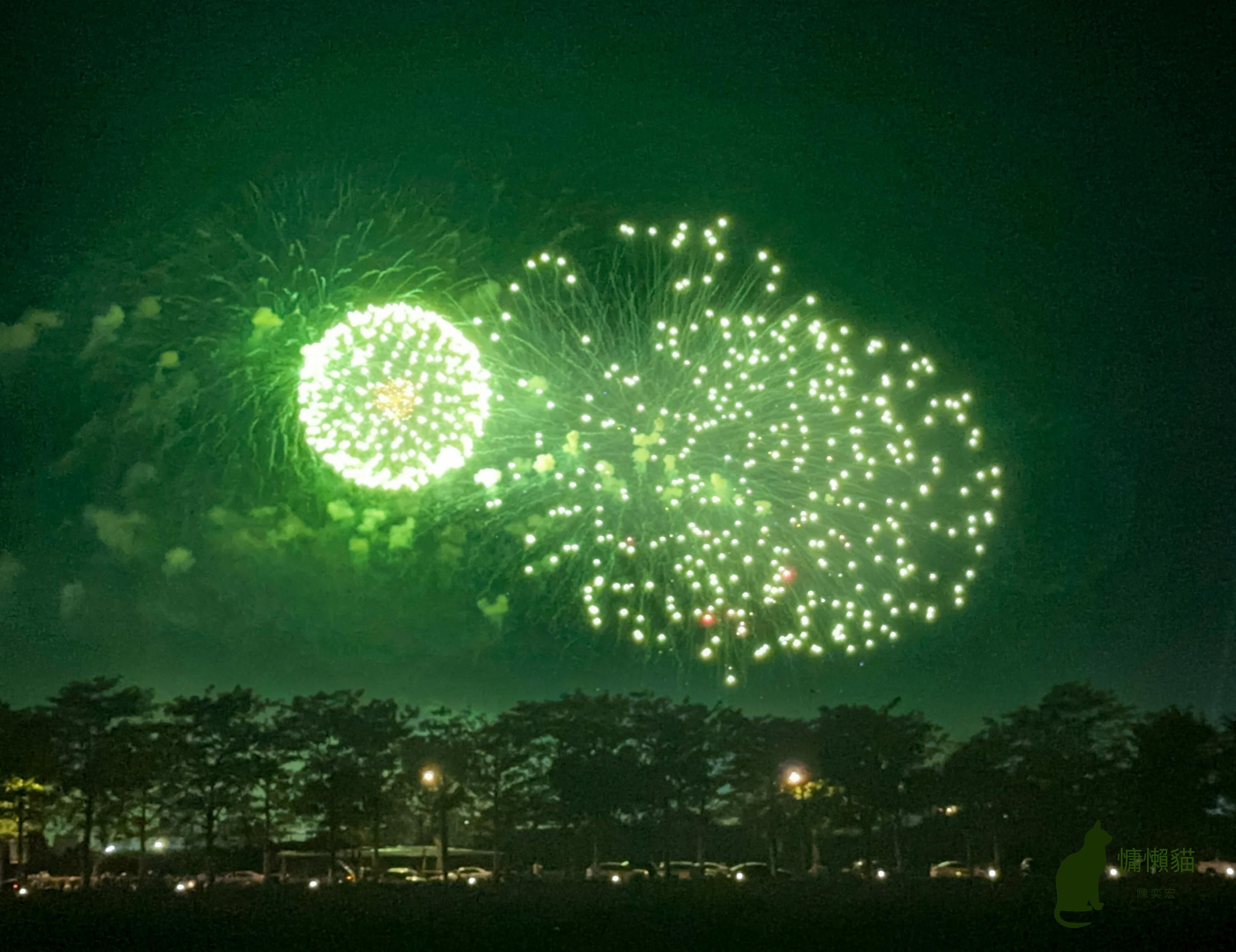 三萬發絢麗的煙花在黑暗的夜空中競相綻放，慶祝中華民國113歲