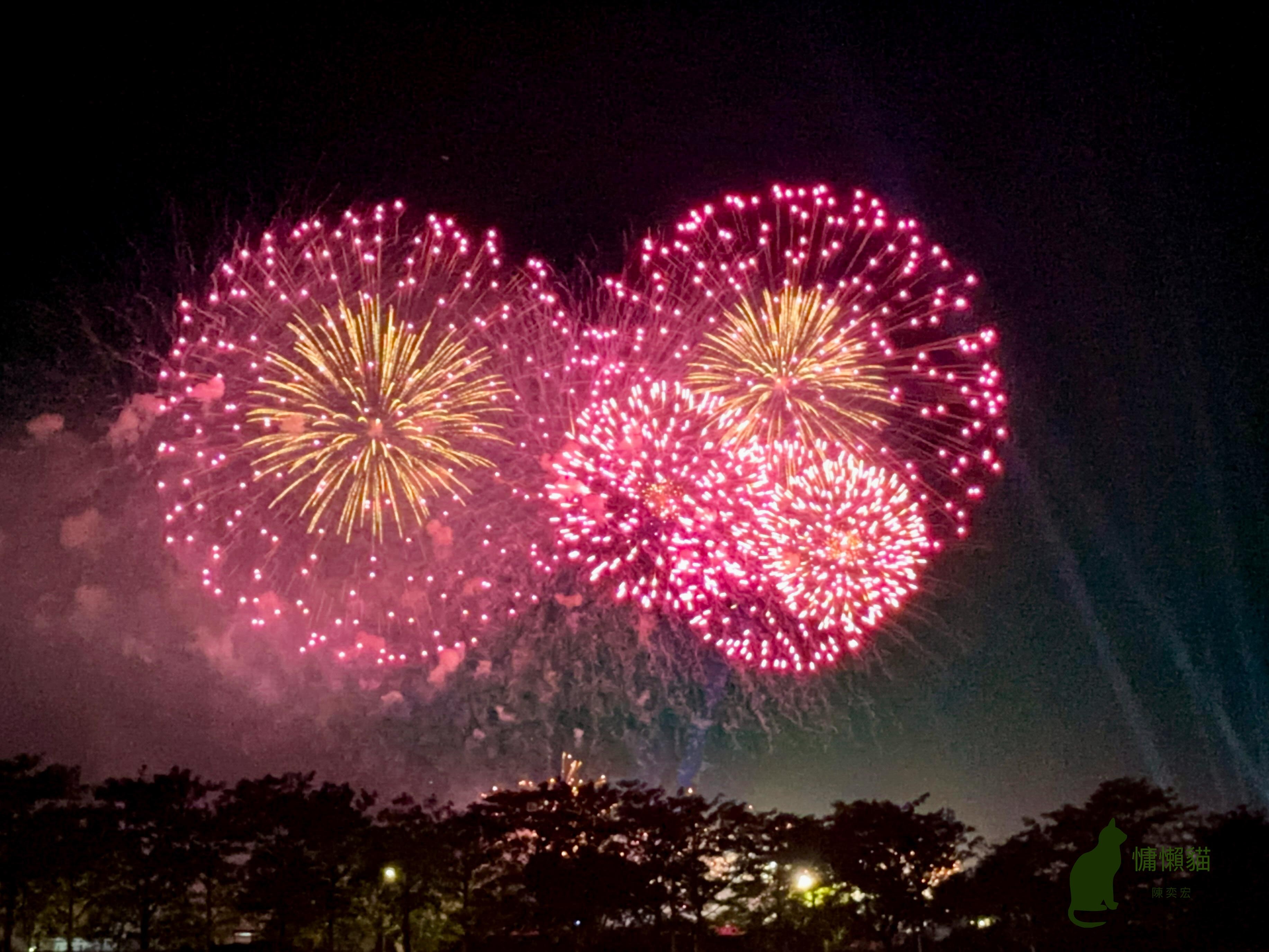 三萬發絢麗的煙花在黑暗的夜空中競相綻放，慶祝中華民國113歲