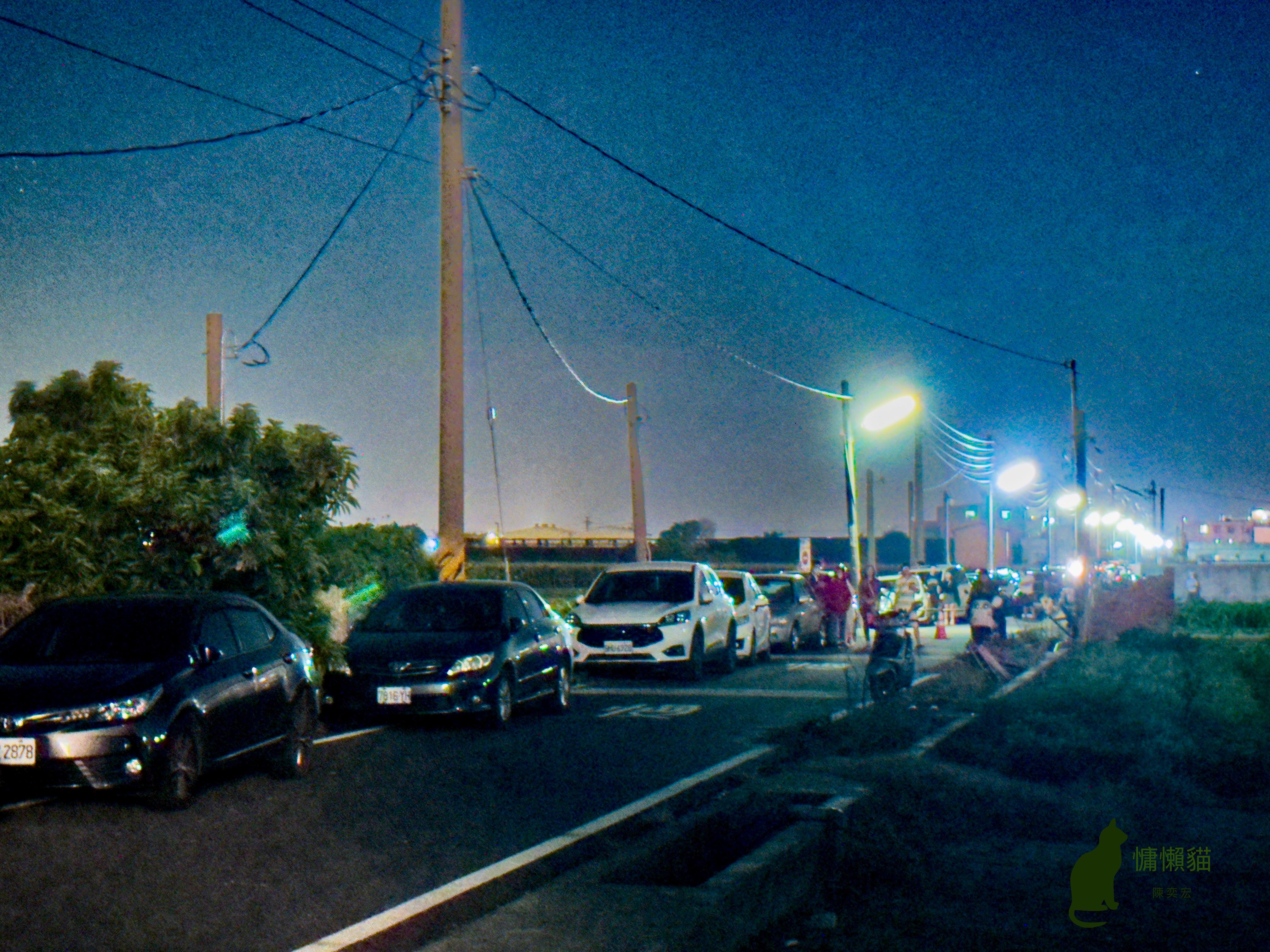 三萬發絢麗的煙花在黑暗的夜空中競相綻放，慶祝中華民國113歲