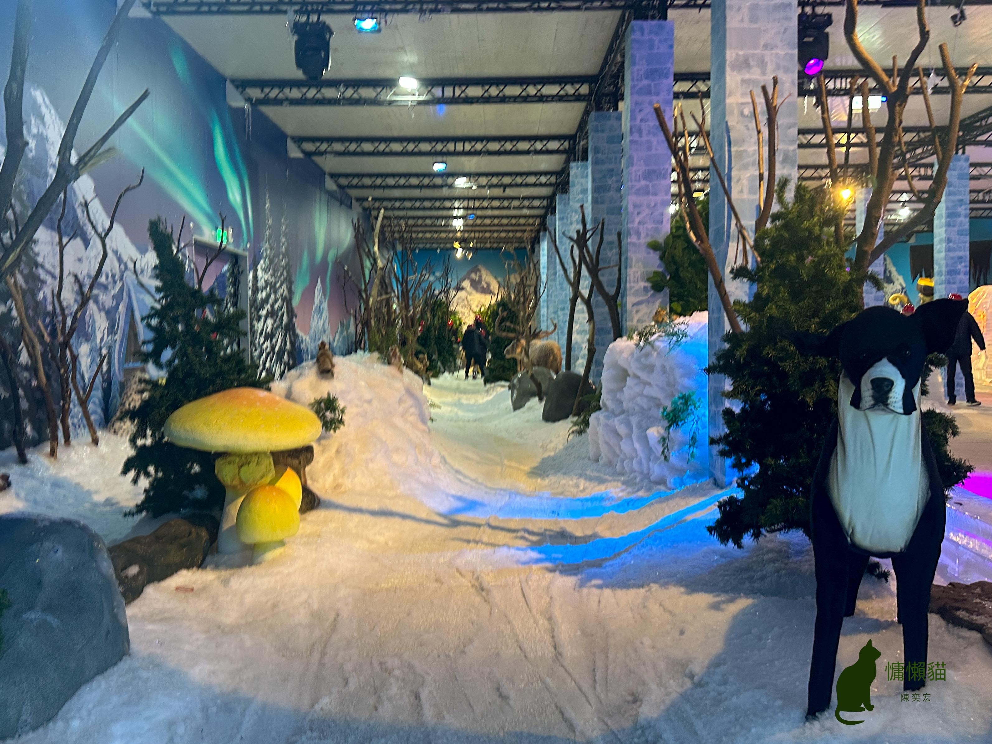 美麗且夢幻的冰雪國度，令人讚嘆的冰雕藝術、冰面碰碰船、雪地健