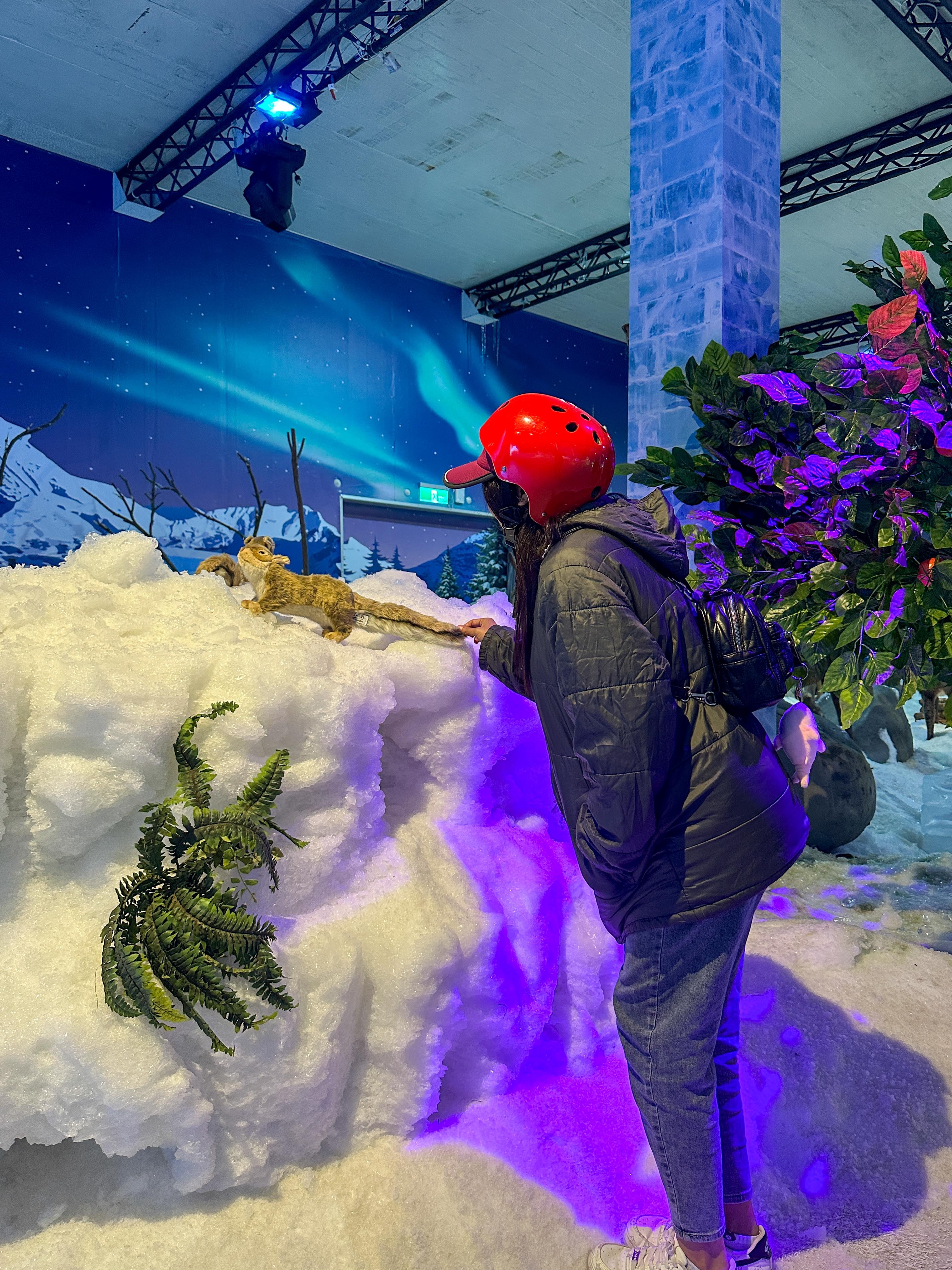 美麗且夢幻的冰雪國度，令人讚嘆的冰雕藝術、冰面碰碰船、雪地健