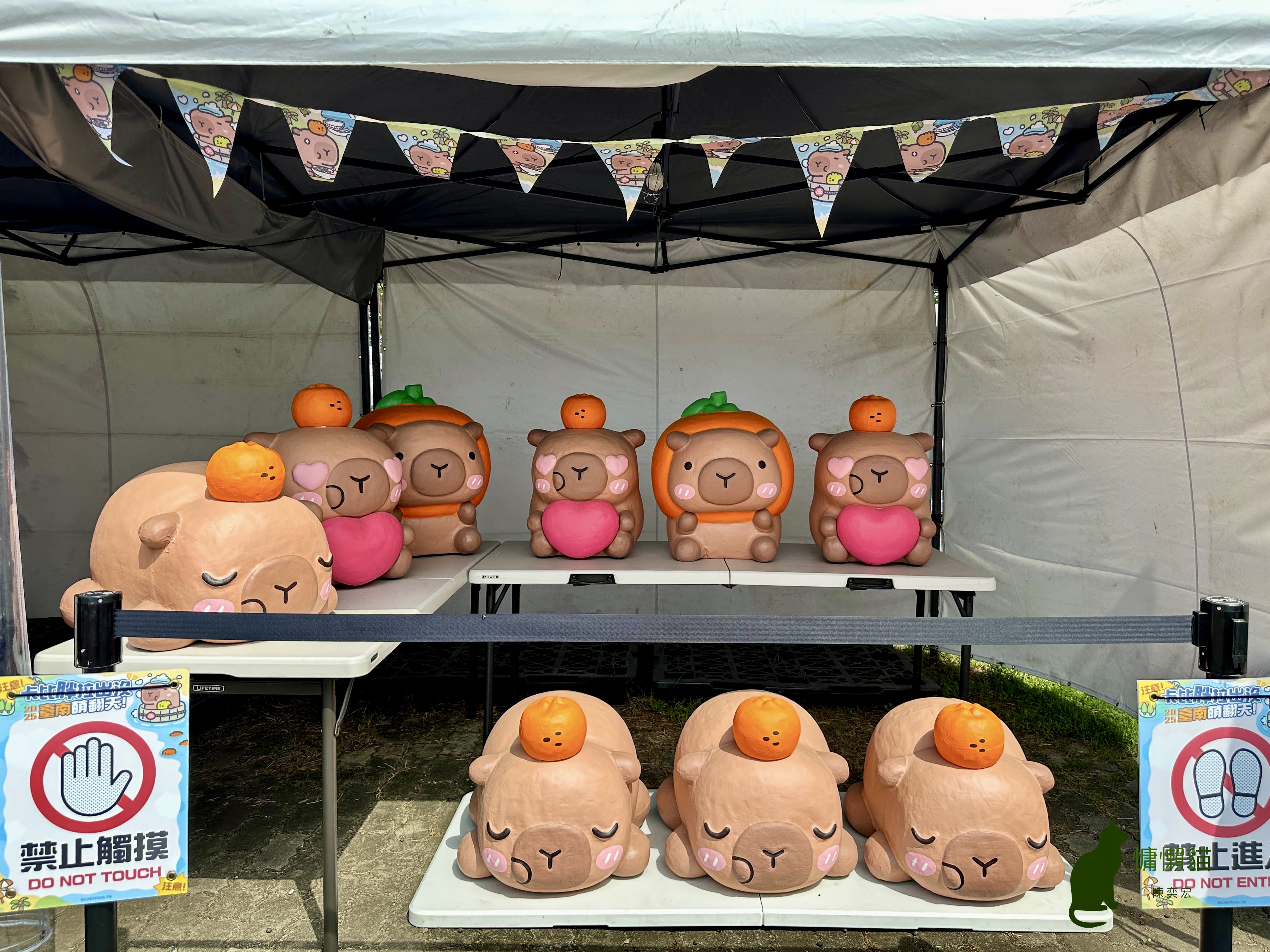 台南萌潮再度來襲,慵懶療癒的卡比胖拉出沒在漁人碼頭,陪大家一 台南萌潮再度來襲,慵懶療癒的卡比胖拉出沒在漁人碼頭,陪大家一