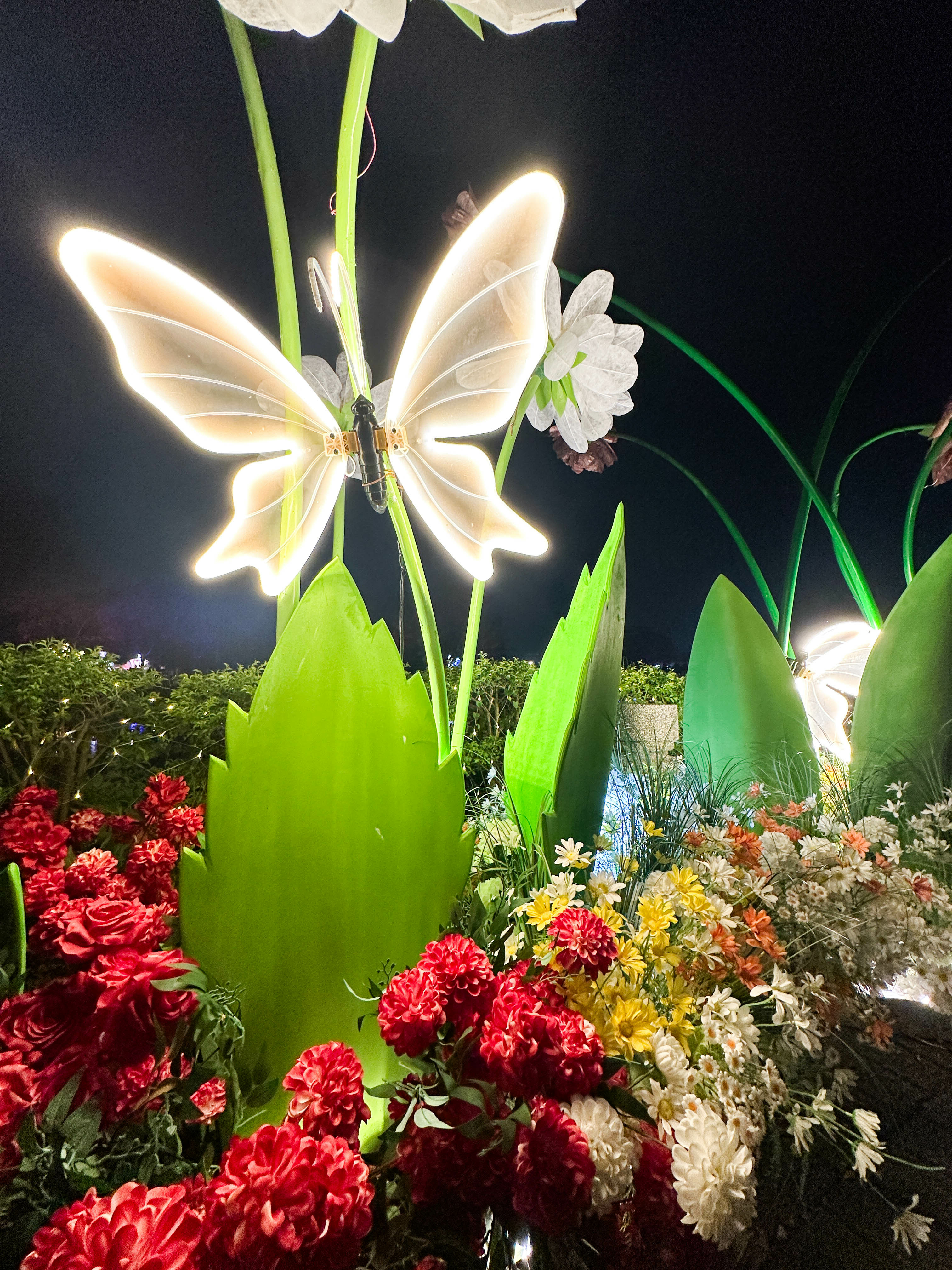 大家在夜色來臨時進入一場奇幻夢境,我們墮入《愛麗絲夢遊仙境》 大家在夜色來臨時進入一場奇幻夢境,我們墮入《愛麗絲夢遊仙境》