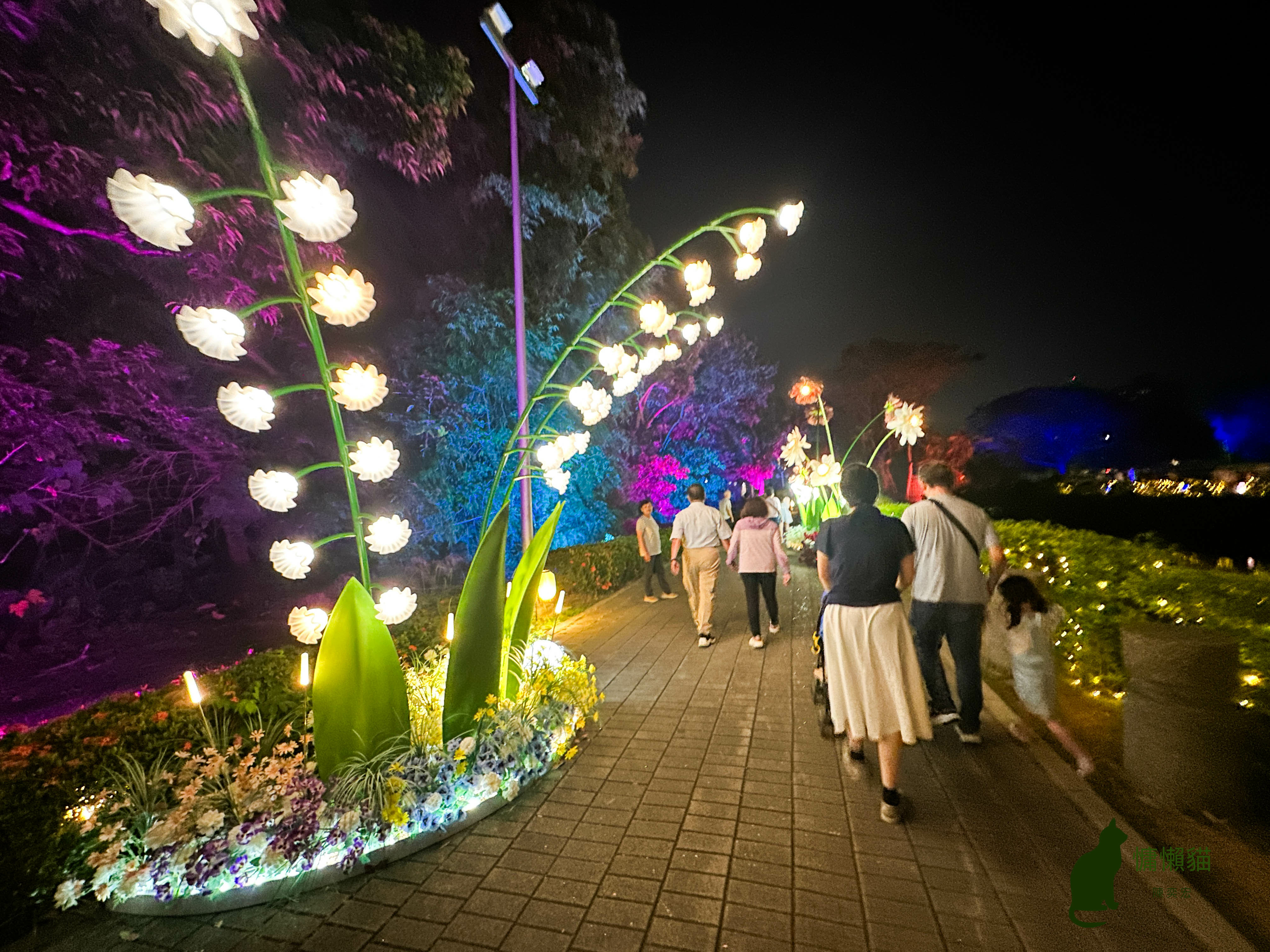 大家在夜色來臨時進入一場奇幻夢境,我們墮入《愛麗絲夢遊仙境》 大家在夜色來臨時進入一場奇幻夢境,我們墮入《愛麗絲夢遊仙境》