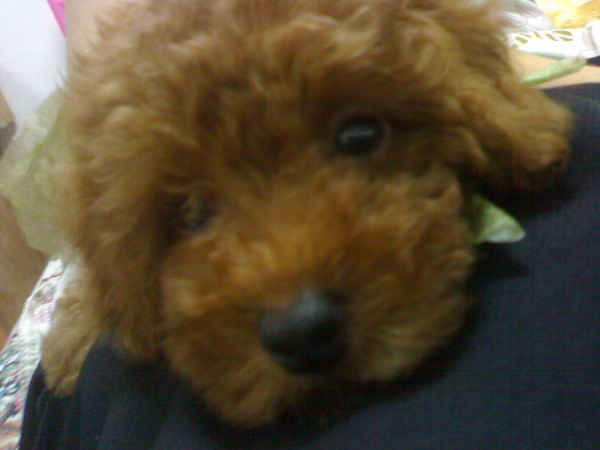 20070421440.jpg