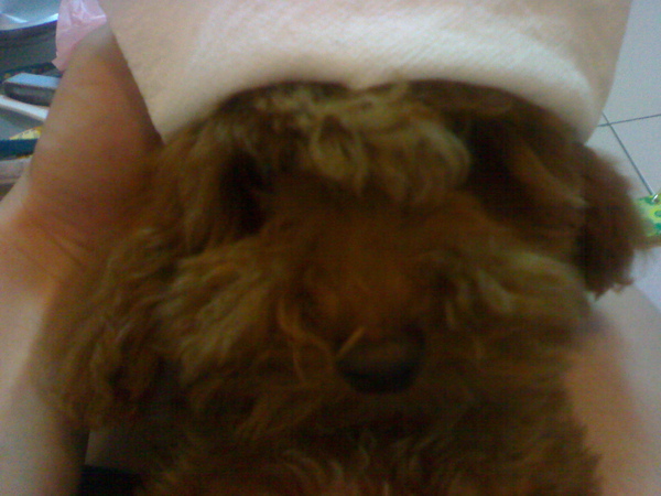 20070628788.jpg