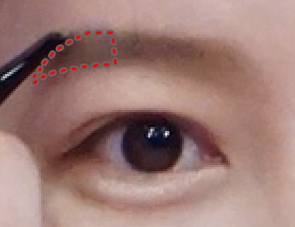 eyebrow2.JPG