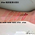 7-1DIOR 試色.JPG